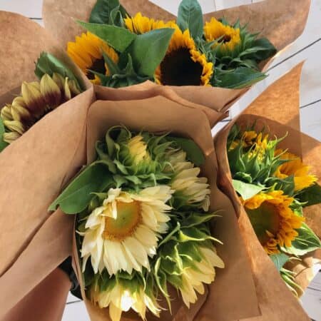 Specialty Sunflowers